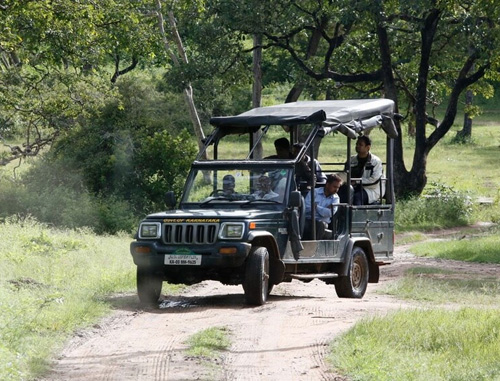 JLR Kings Sanctuary