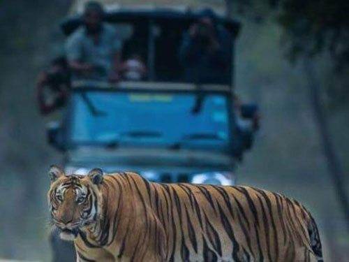 JLR Kings Sanctuary